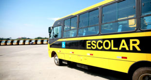 escolar