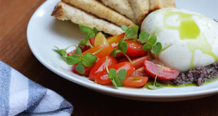 burrata