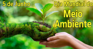 meio-ambiente