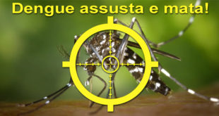 dengue