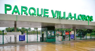 parque-villa-lobos